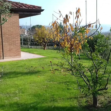 Pf&p Golf Club *