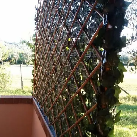 Apartman Pf&p Golf Club Miglianico